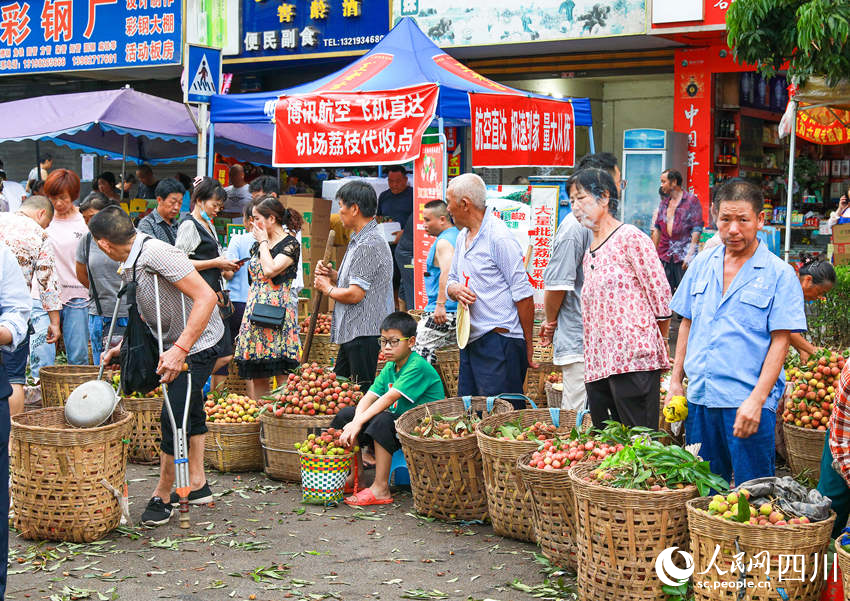 合江縣多家物流企業(yè)積極為消費(fèi)者提供貼心服務(wù)，直接在各荔枝交易市場(chǎng)上設(shè)置服務(wù)網(wǎng)點(diǎn)，讓消費(fèi)者享受到便捷高效的服務(wù)，較好地拓展了荔枝銷(xiāo)售途徑渠道。李貴平攝