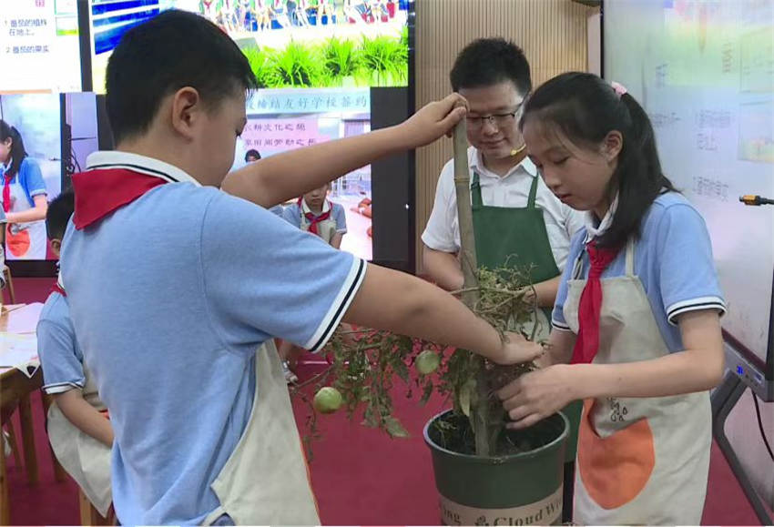 學生了解植物栽種方法