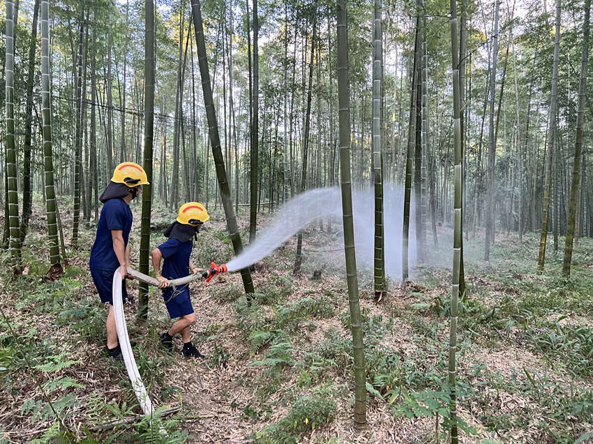 宜賓市消防員在給竹蓀基地澆水。宜賓市消防救援支隊供圖