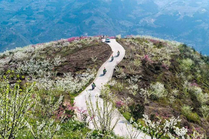 致富之路。赤水鎮供圖