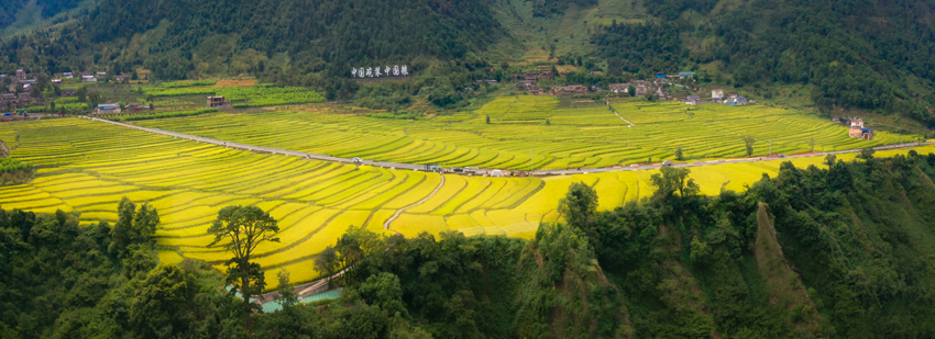 四川省涼山州德昌縣，“中國(guó)碗裝中國(guó)糧”香稻基地航拍。德昌縣委宣傳部供圖