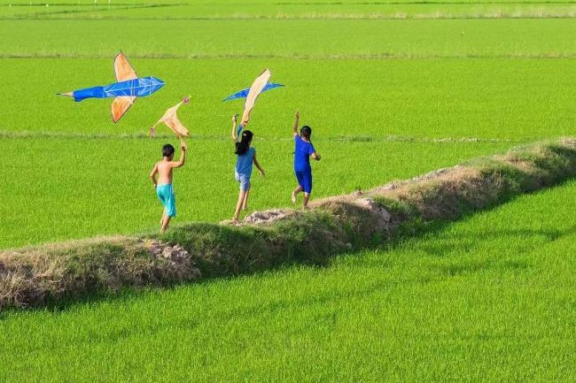 天府糧倉沃野良田。新津區(qū)委宣傳部供圖