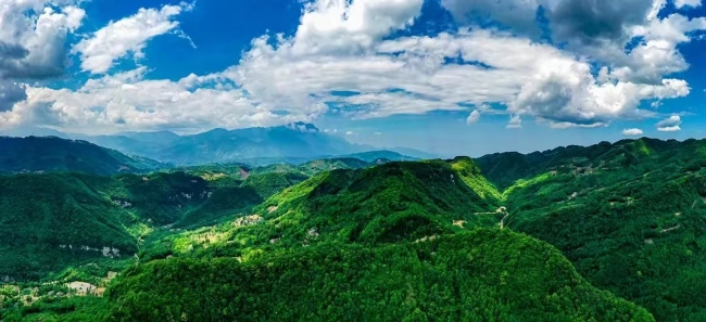 峨眉南山。樂山市生態環境局供圖