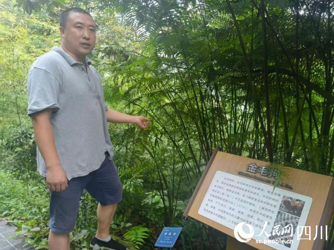 李小杰對園區內植物如數家珍。陳瀟洋攝.jpg