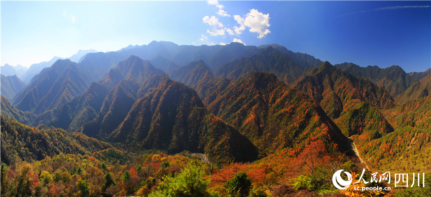 拈花一笑萬山紅。王開晉攝