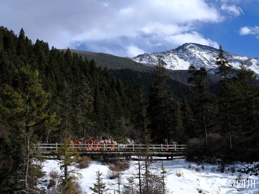 穿行在林海中的“橘紅色”。程雪力攝