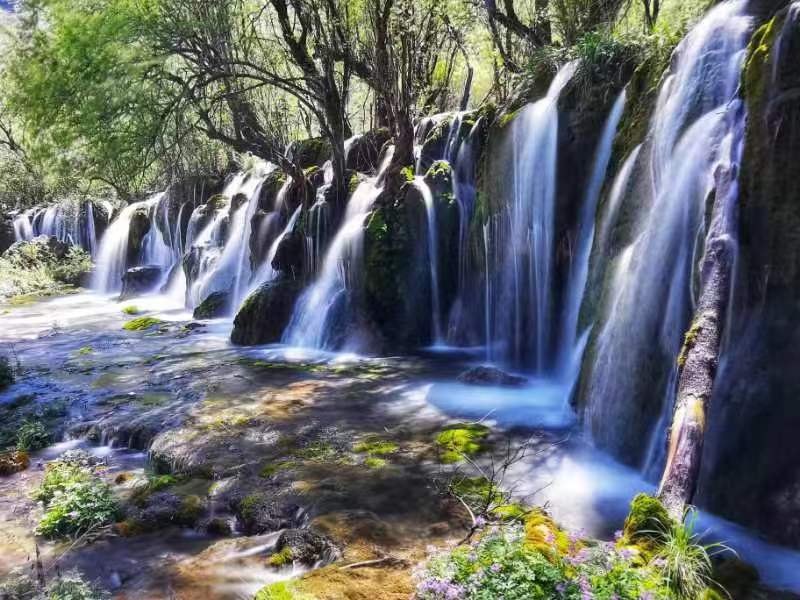 草木日夜聽(tīng)山泉。九寨溝景區(qū)供圖