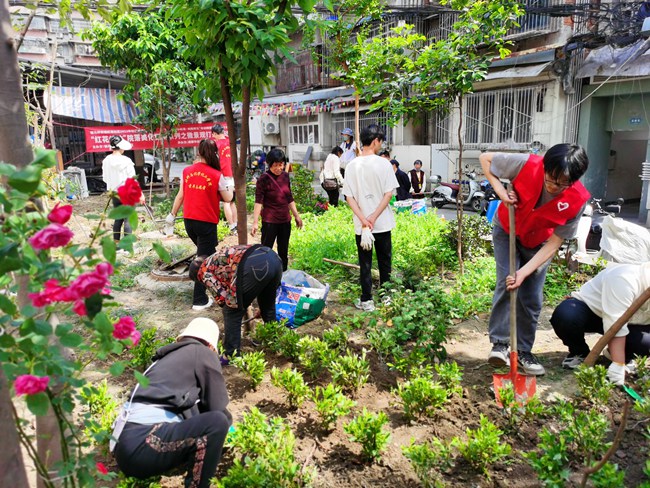 老舊院落的微更新、微改造。紅花社區(qū)供圖