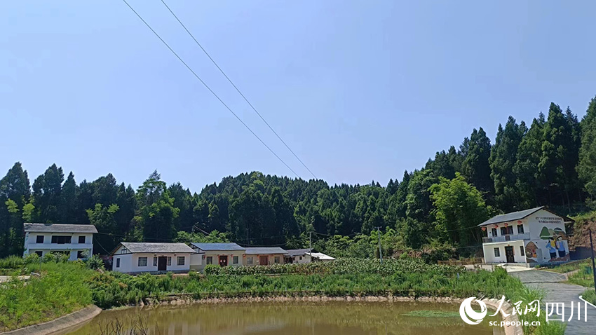 寶梵村村景。吳舒婷攝