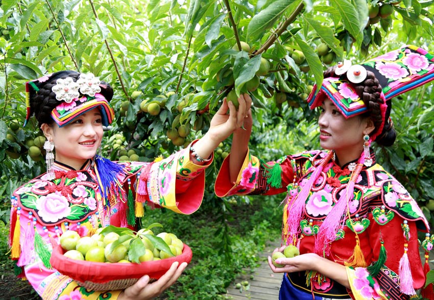 正在勞動的少數民族女同胞。阿壩州委宣傳部供圖