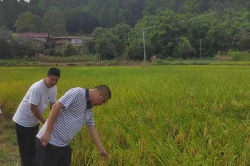 董家埂鎮紀檢干部到該鎮龍口村實地檢查耕地保護工作。成都東部新區紀工委監察工委供圖