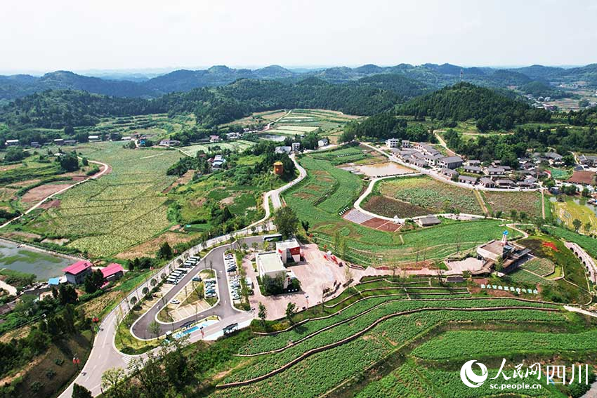 海龍村產業園。侯杰攝