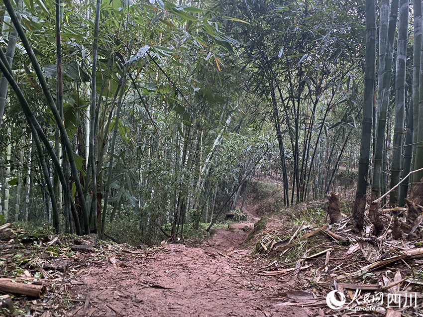 當(dāng)?shù)爻掷m(xù)降雨，山村道路濕滑。人民網(wǎng) 王凡攝