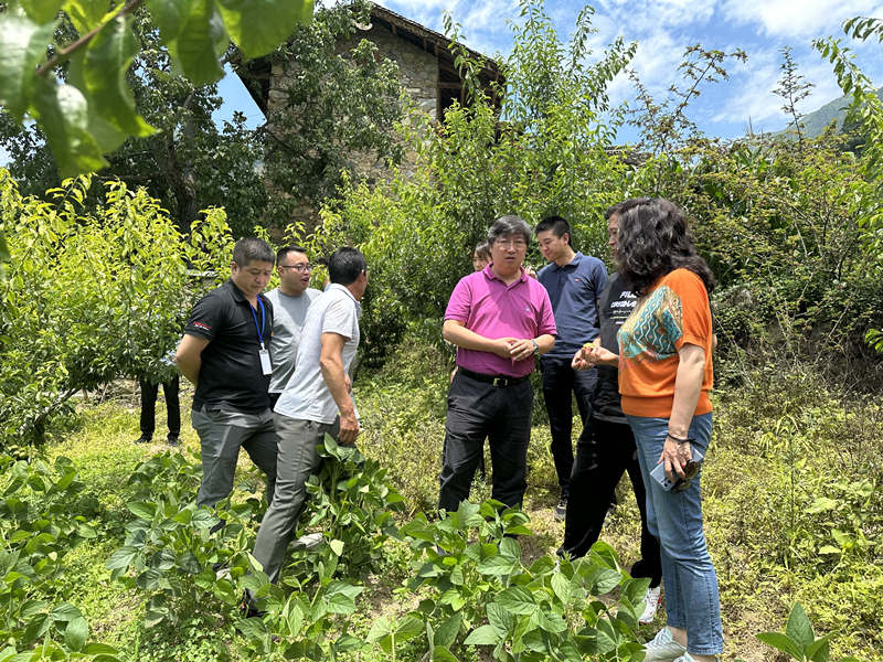 7月20日，都江堰市第七批對口支援工作隊領隊楊波在康定市麥崩鄉調研農業產業項目。康定市融媒體中心供圖