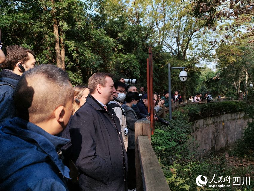 法國駐華大使白玉堂參訪成都大熊貓繁育研究基地，看望首只在法國出生的大熊貓幼崽“圓夢”。人民網記者 朱虹攝