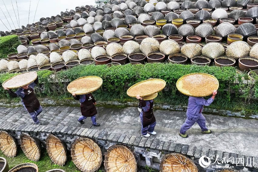 工人在露天曬場里忙碌生產(chǎn)。李貴平攝