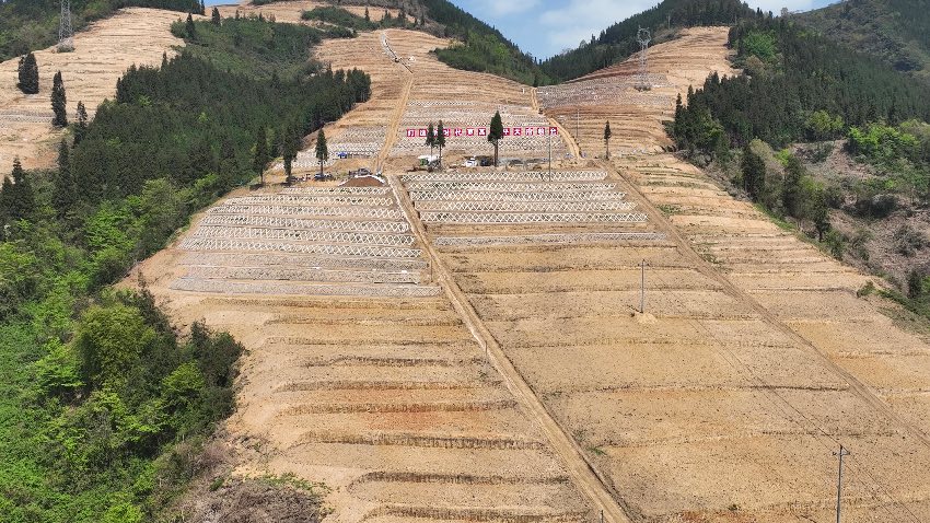 蘆山縣苗溪農場土地整治項目現場。四川省自然資源廳宣傳教育中心供圖