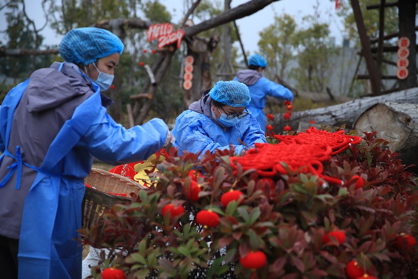 場景布置。成都大熊貓繁育研究基地供圖