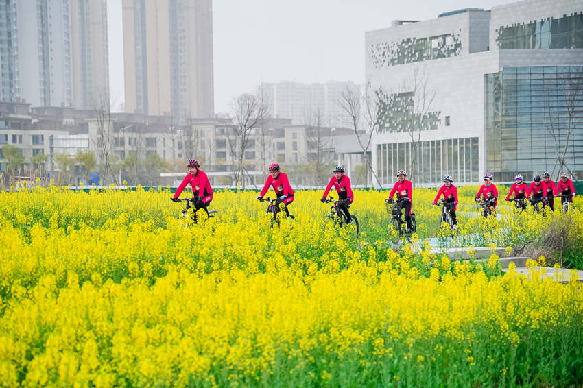 騎行愛好者在四川省眉山市彭山區(qū)“五湖四海”濕地公園綠道騎行賞花。翁光建攝