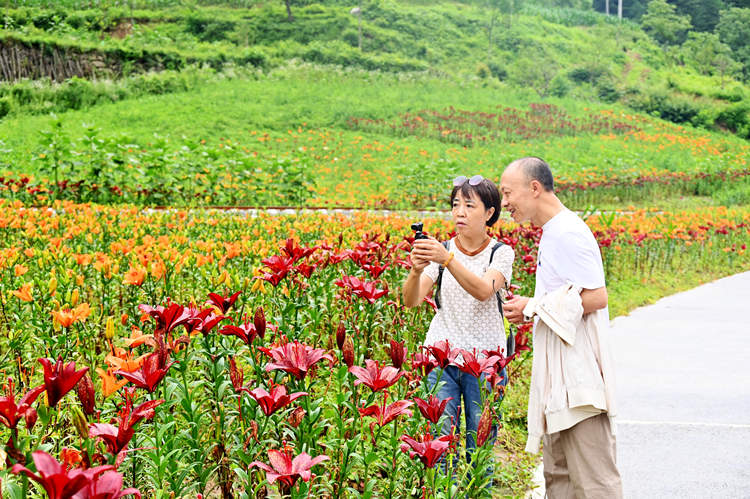 游客在吊灘河生態農業觀光園賞花拍照。劉旭攝