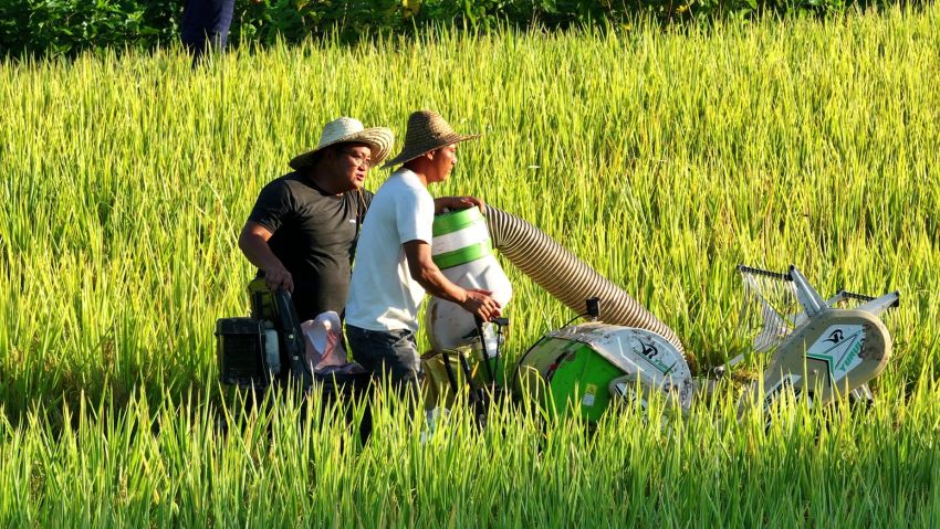 村民正在用農機收割水稻。高縣融媒體中心供圖