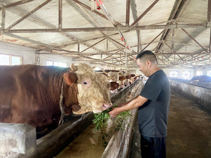 高建濤的高老莊農(nóng)場。綿竹市煙草專賣局供圖