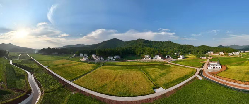 蓬安高標準農田楊家基地。蓬安融媒體中心供圖