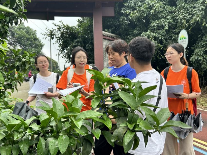 志愿團隊收集蒲江病蟲害發生情況。共青團成都市委供圖