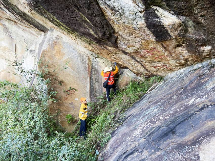 高溫下，達州工務段職工正在進行搜山掃危。崔建銀攝 