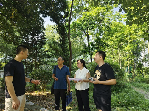 巡查自流井區蜀光中學烈士紀念碑。自貢市退役軍人事務局供圖