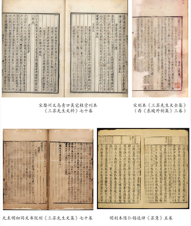 搜集到《三蘇先生文集》的相關(guān)資料。主辦方供圖