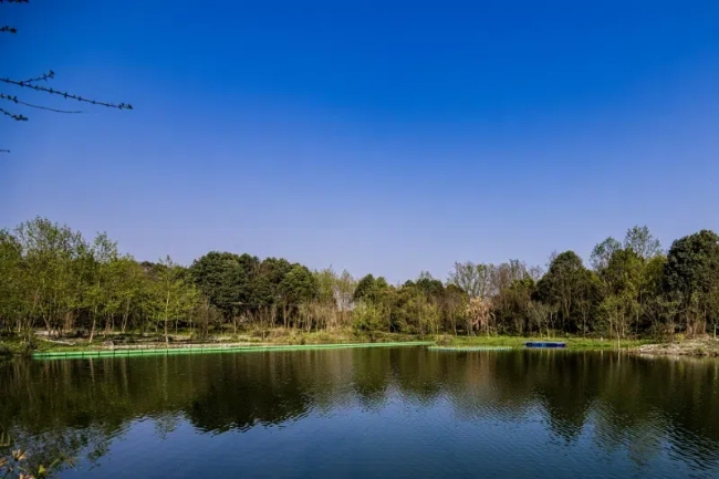 云橋濕地實景。主辦方供圖