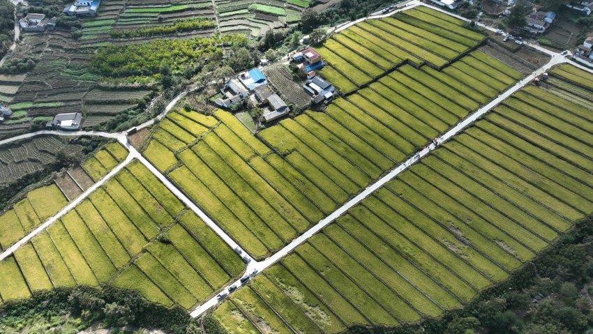 德昌縣麻栗鎮光輝村糧經復核產業園。德昌縣委宣傳部供圖