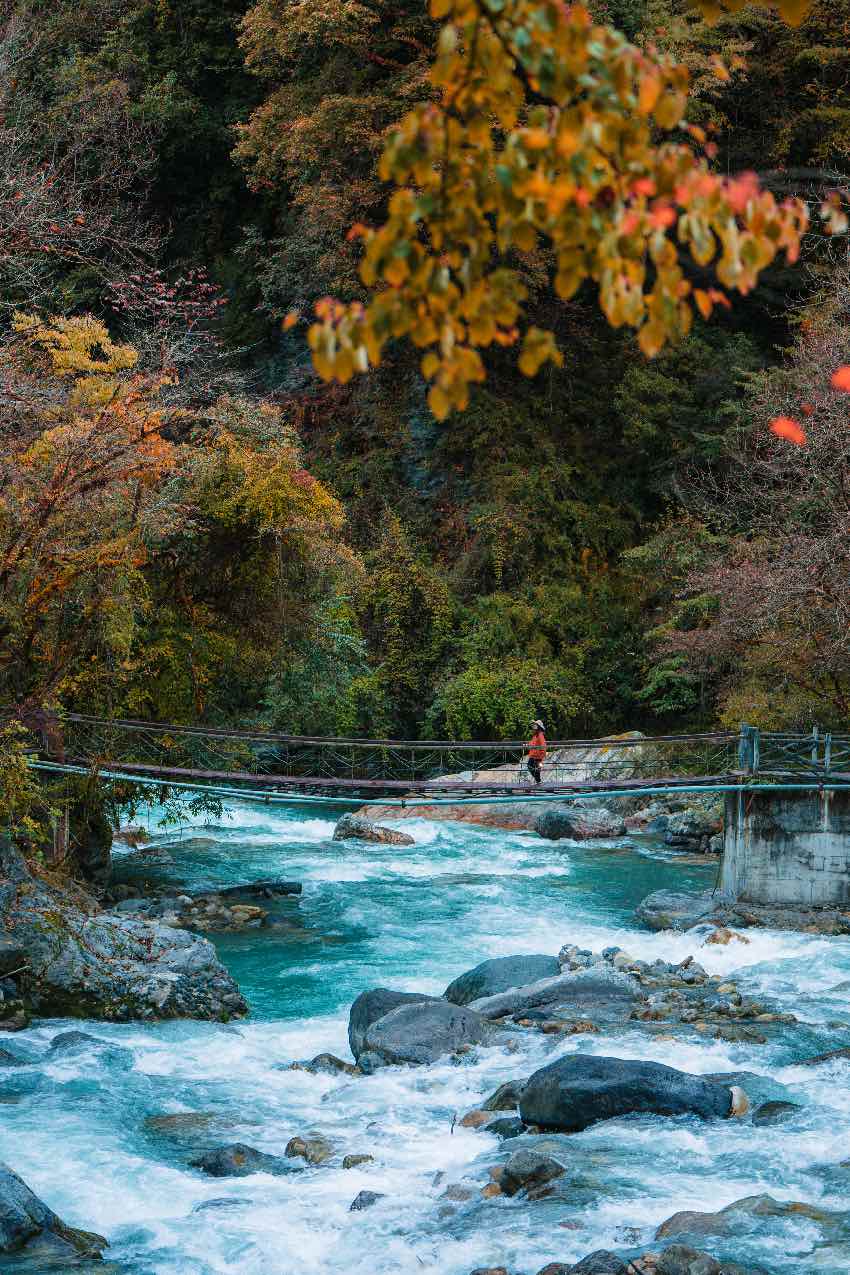 珙桐山居。二郎山喇叭河景區(qū)供圖